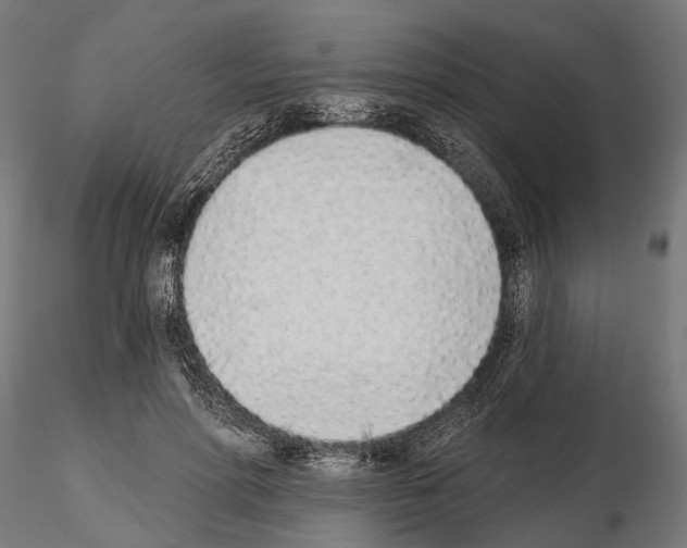 X0000115110598200912081323