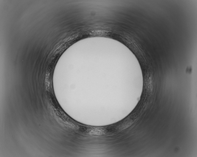 X0000115110599200912081323