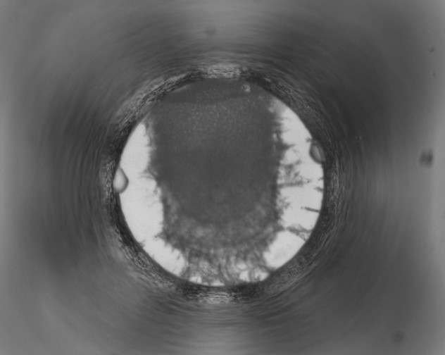 X0000115110600200912081323