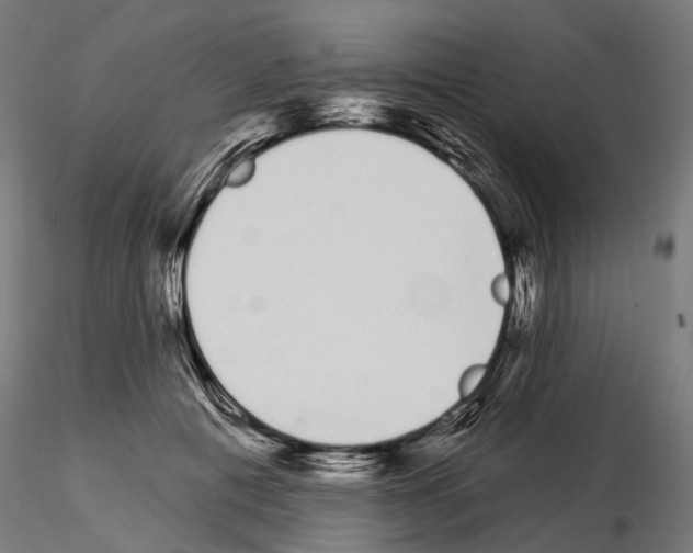 X0000115110601200912081323