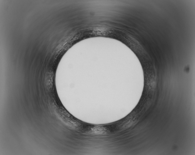 X0000115110603200912081323