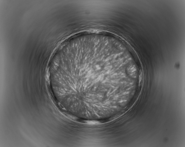 X0000115110605200912081323