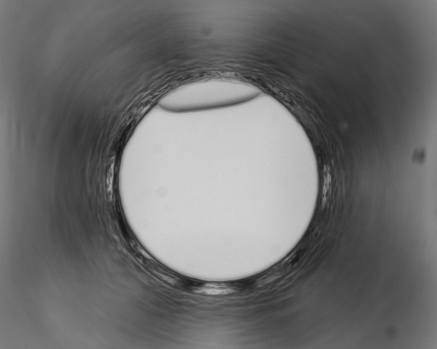 X0000115110608200912081323