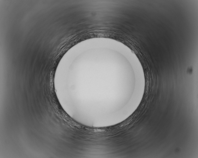 X0000115110609200912081323