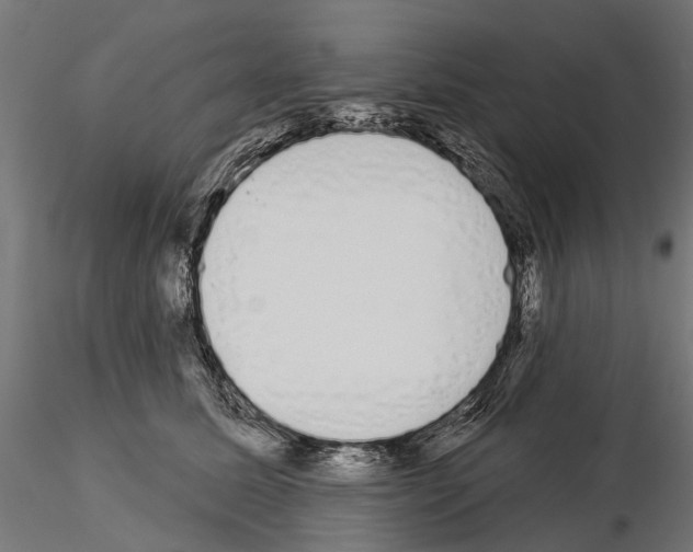 X0000115110611200912081323