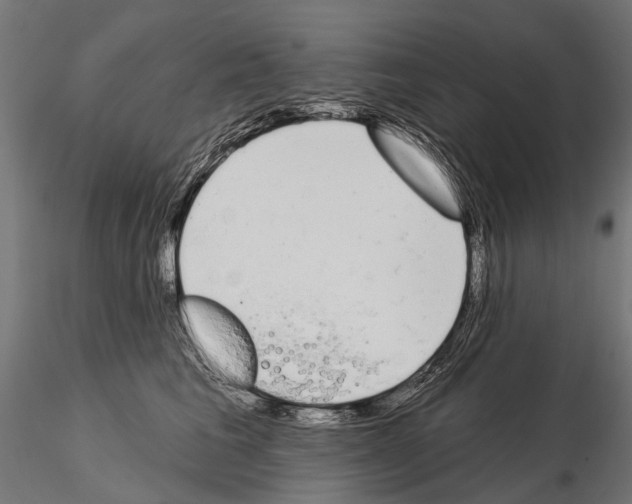 X0000115110613200912081323