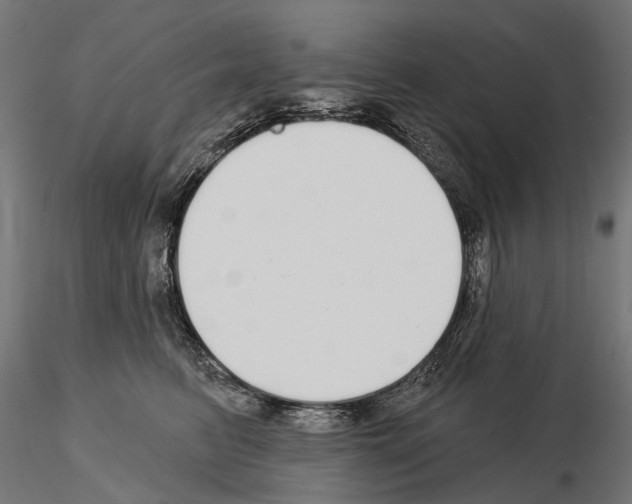 X0000115110615200912081323