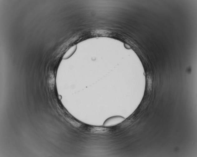 X0000115110617200912081323