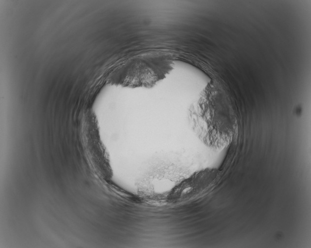 X0000115110619200912081323