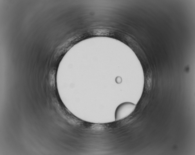 X0000115110620200912081323