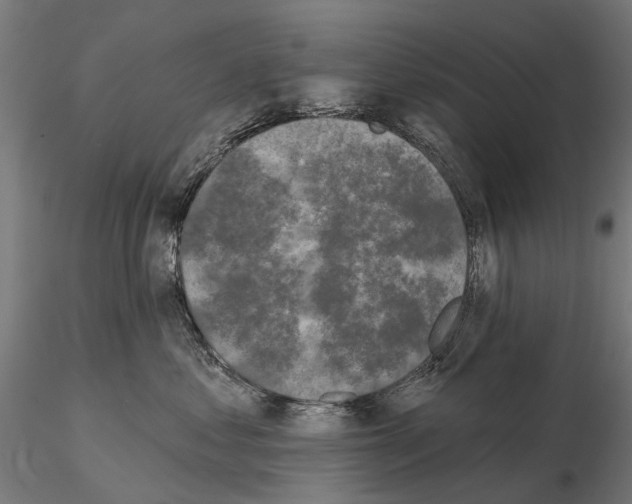 X0000115110621200912081323