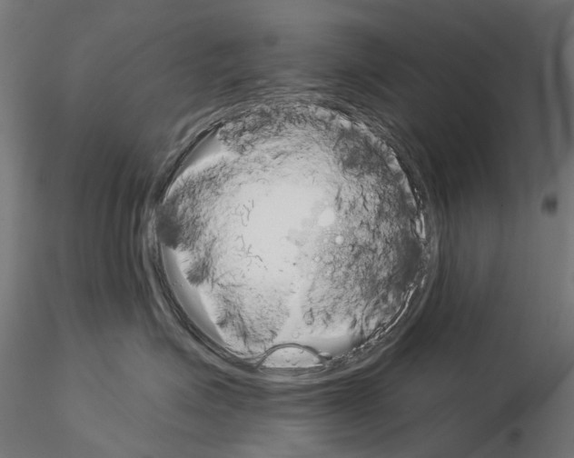 X0000115110623200912081323