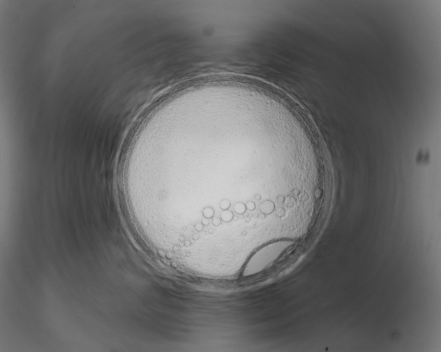 X0000115110624200912081323