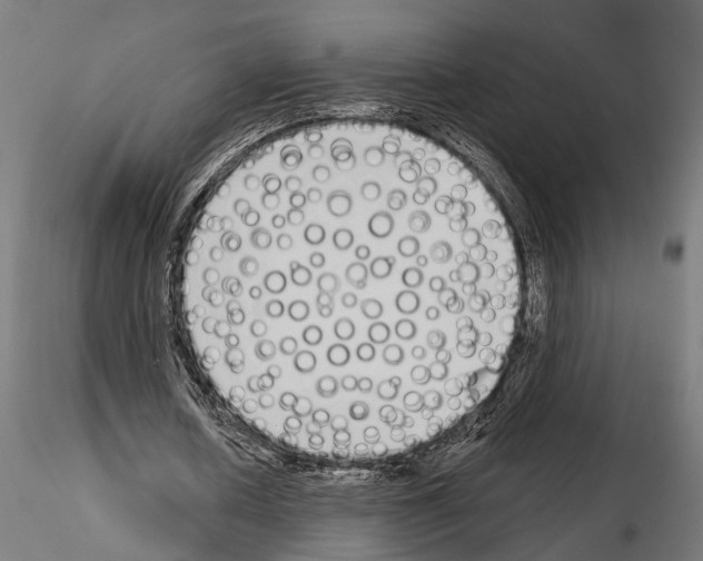 X0000115110626200912081322