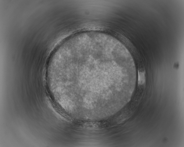 X0000115110627200912081322