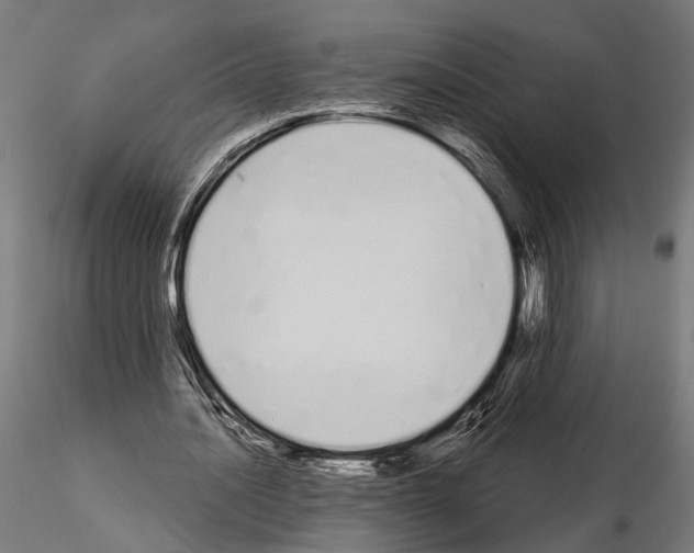 X0000115110628200912081322