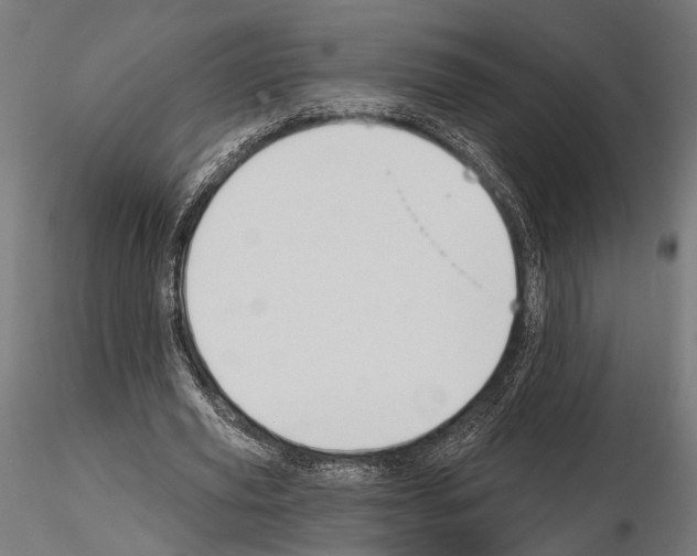 X0000115110629200912081322