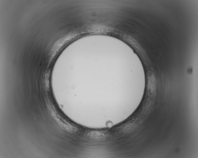 X0000115110632200912081322