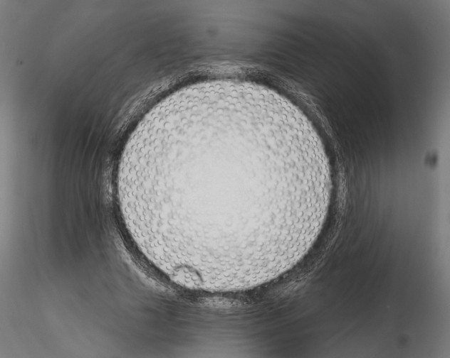 X0000115110633200912081322