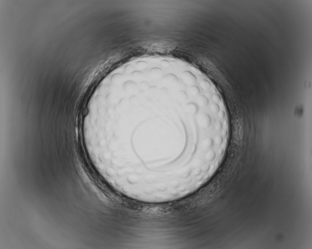 X0000115110634200912081322