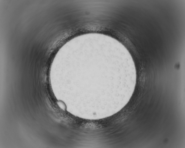 X0000115110635200912081322