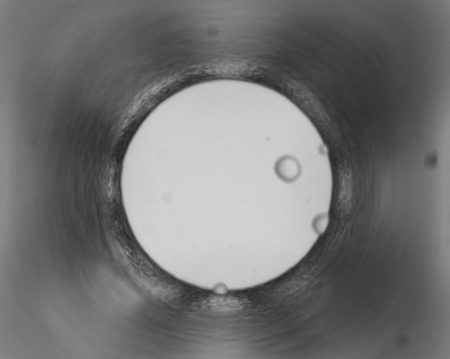 X0000115110636200912081322