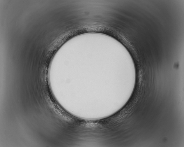 X0000115110637200912081322