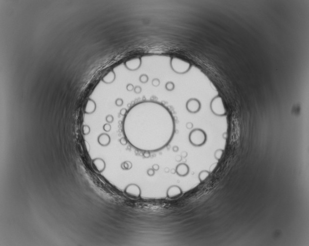 X0000115110638200912081322