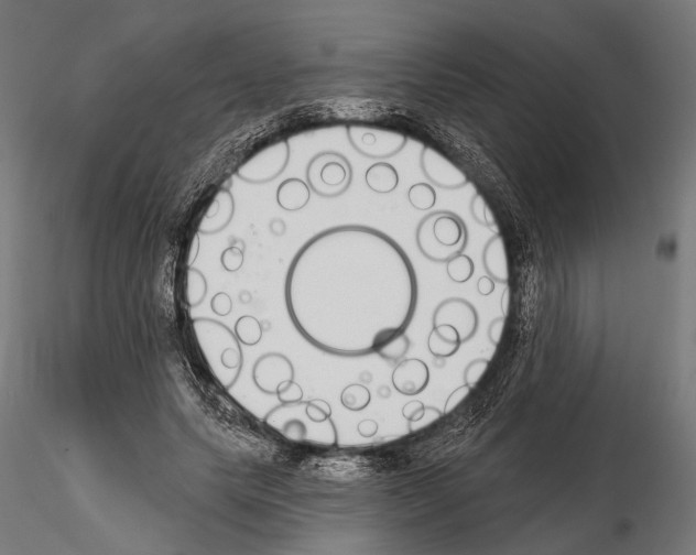 X0000115110639200912081322