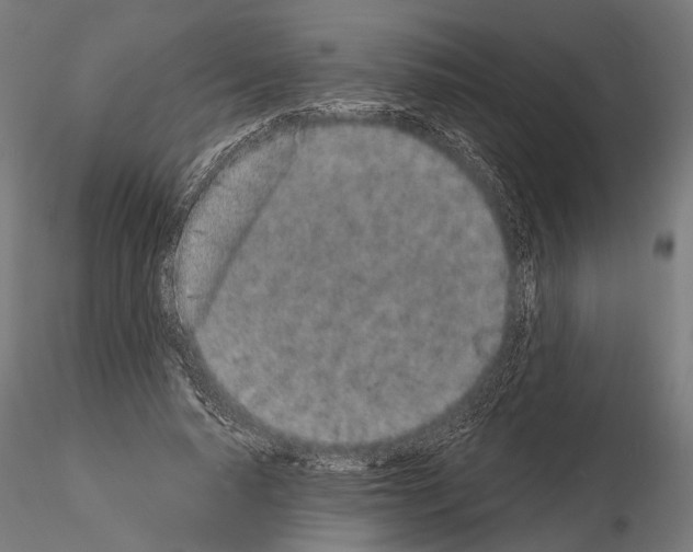 X0000115110640200912081322