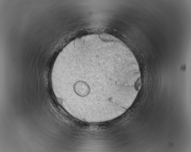 X0000115110641200912081322