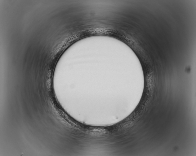 X0000115110642200912081322