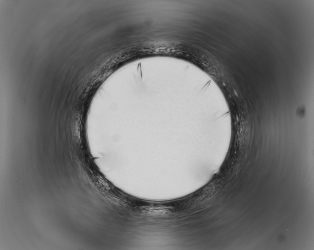 X0000115110643200912081322