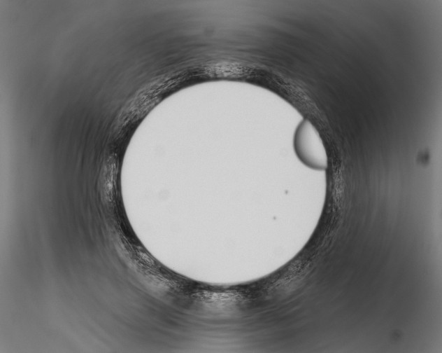 X0000115110645200912081322