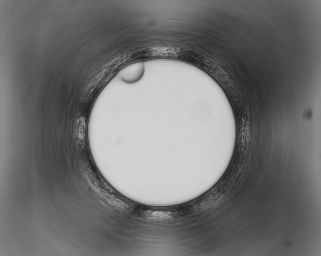 X0000115110649200912081322