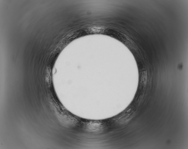 X0000115110651200912081322