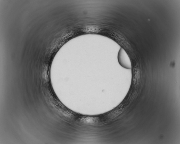 X0000115110655200912081322