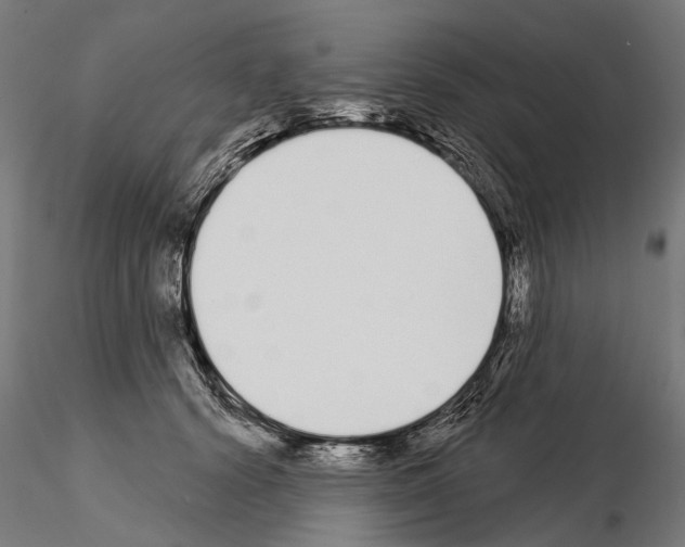 X0000115110656200912081322