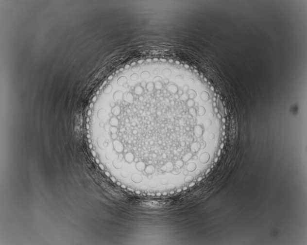 X0000115110657200912081322