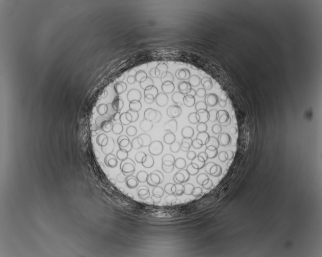 X0000115110658200912081322