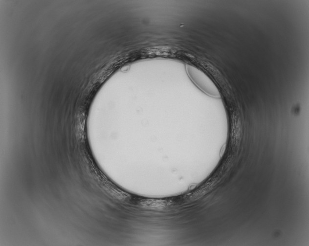 X0000115110661200912081322