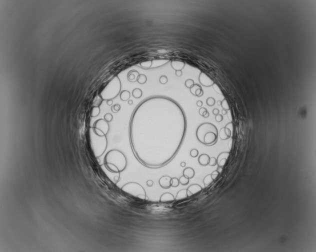 X0000115110662200912081322