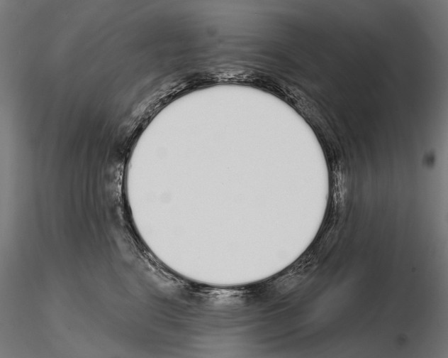 X0000115110664200912081322