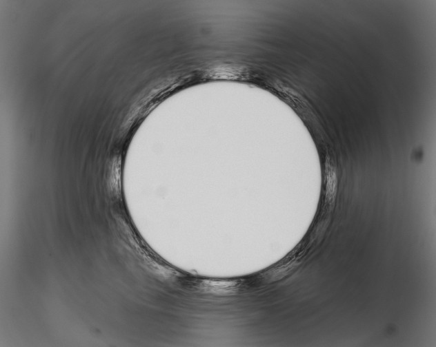 X0000115110665200912081322