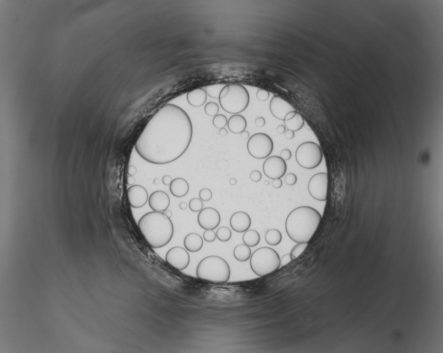 X0000115110666200912081322