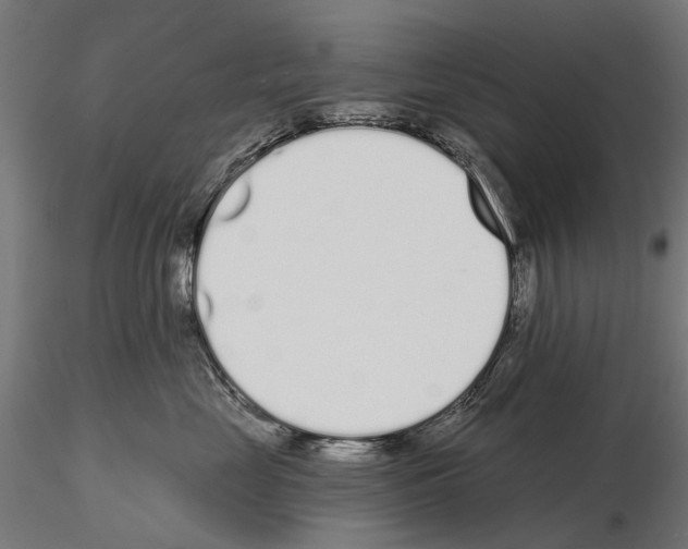 X0000115110669200912081323