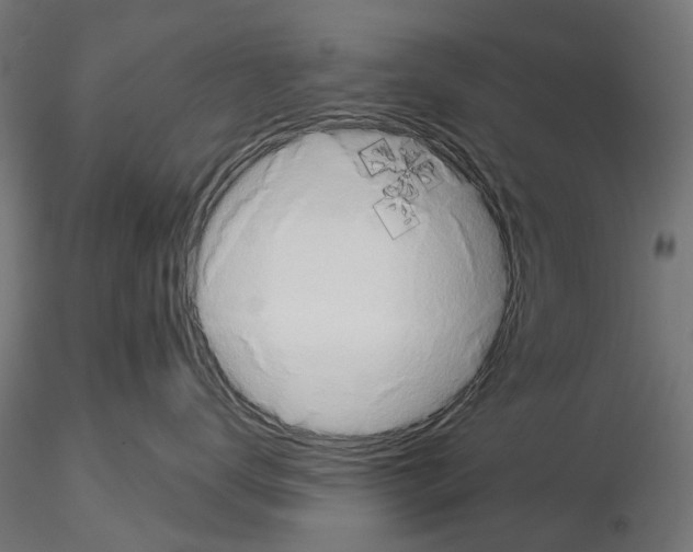 X0000115110672200912081323