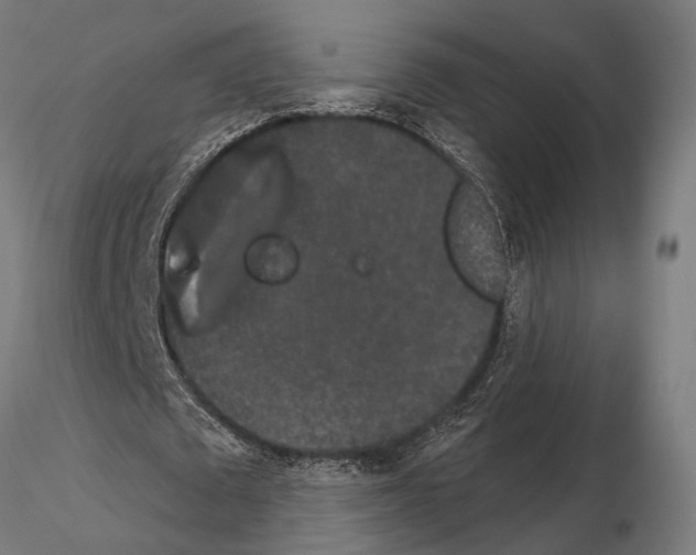 X0000115110673200912081322