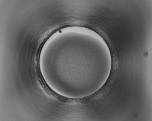 X0000115110674200912081322