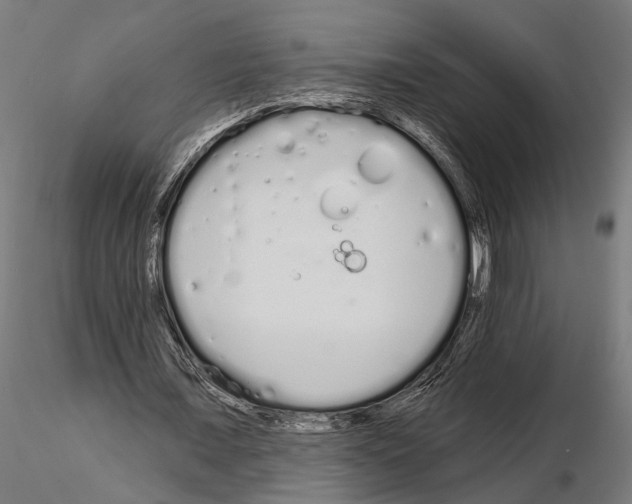 X0000115110675200912081322